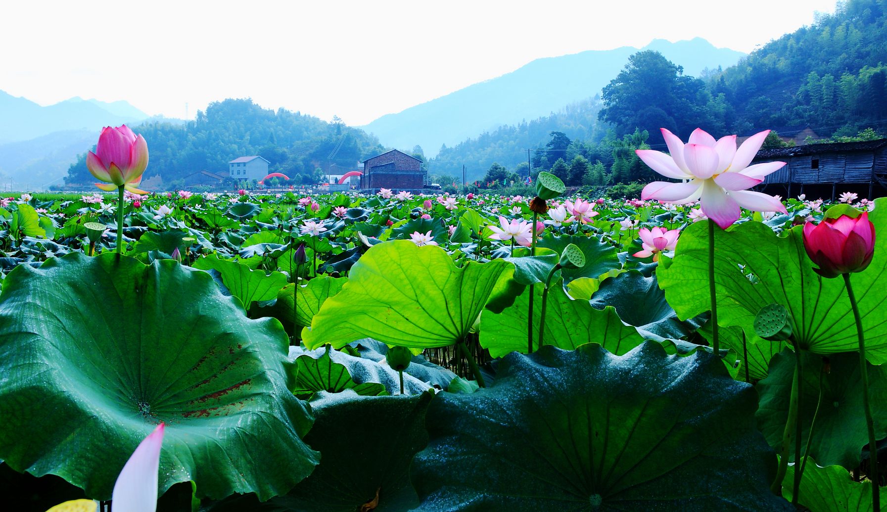 ֽ 羰  Ӱ  3_1035